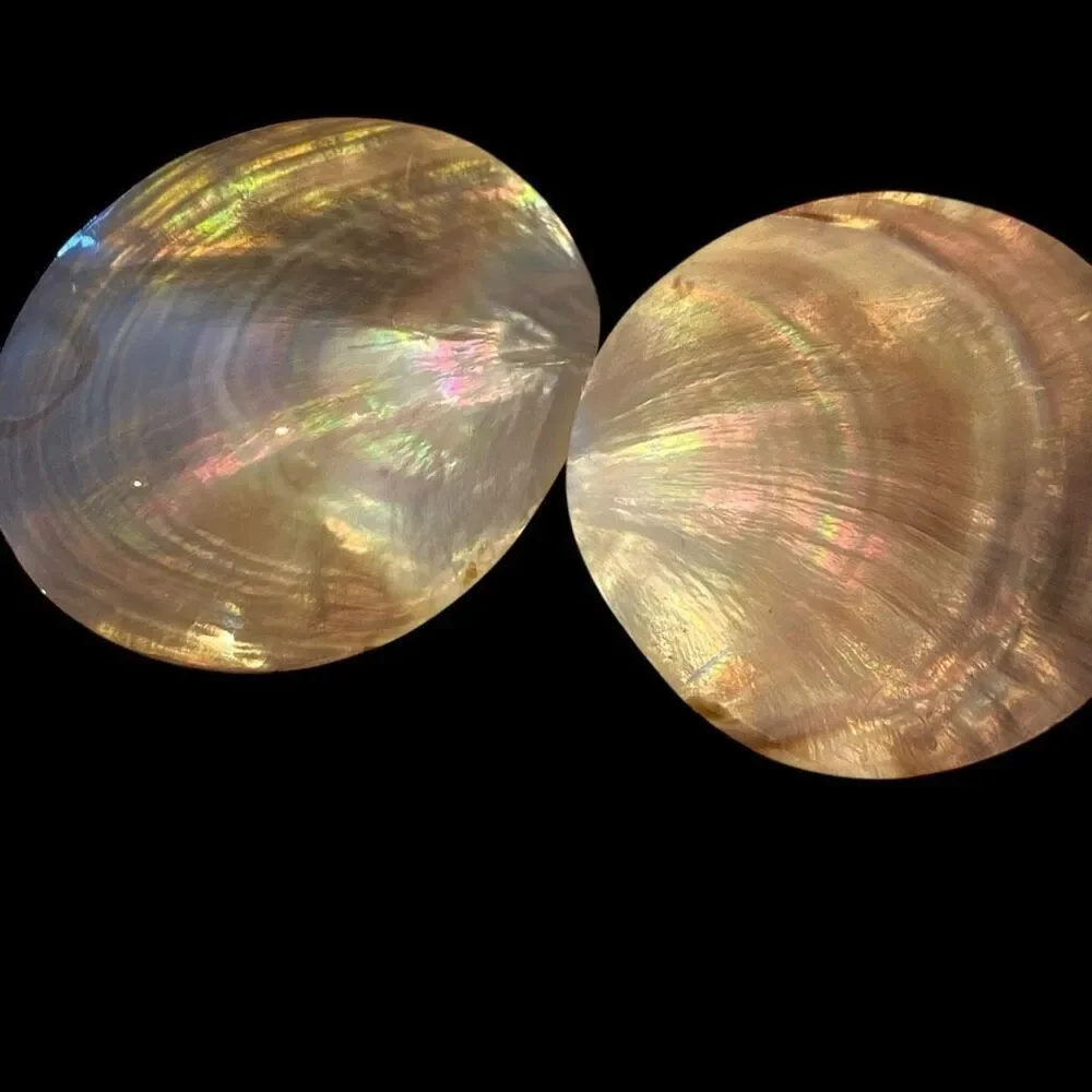 Vintage Bari Mother Of Pearl Abalone Belt Buckle Scarf Holder Pendant